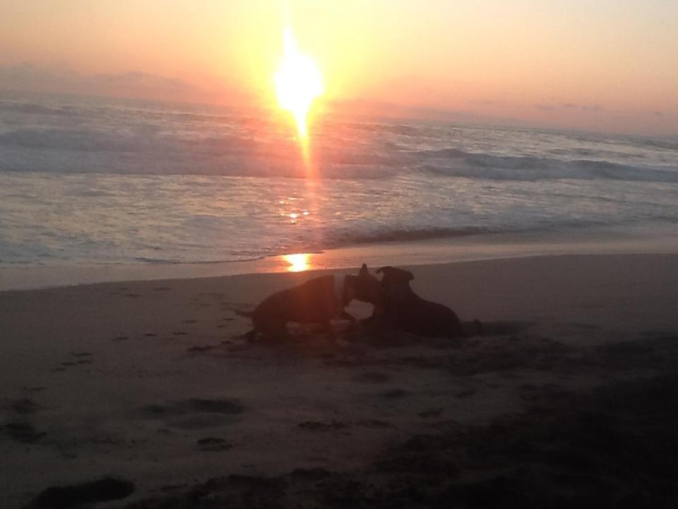 Hostal Caparazona Puerto Escondido  Bagian luar foto